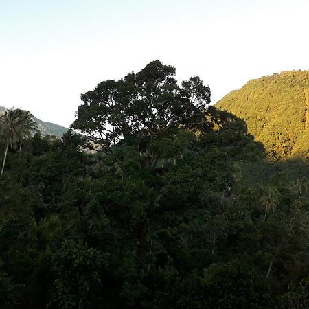 Sugi Gede Homestay Singaraja Esterno foto