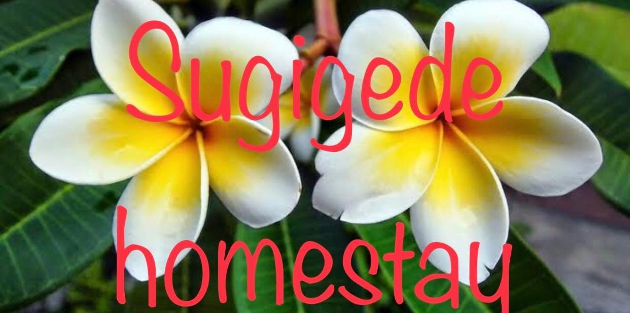 Sugi Gede Homestay Singaraja Esterno foto