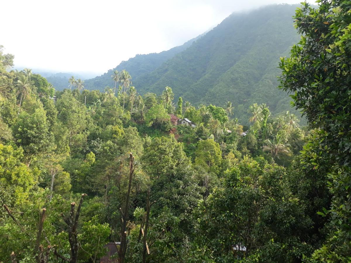 Sugi Gede Homestay Singaraja Esterno foto