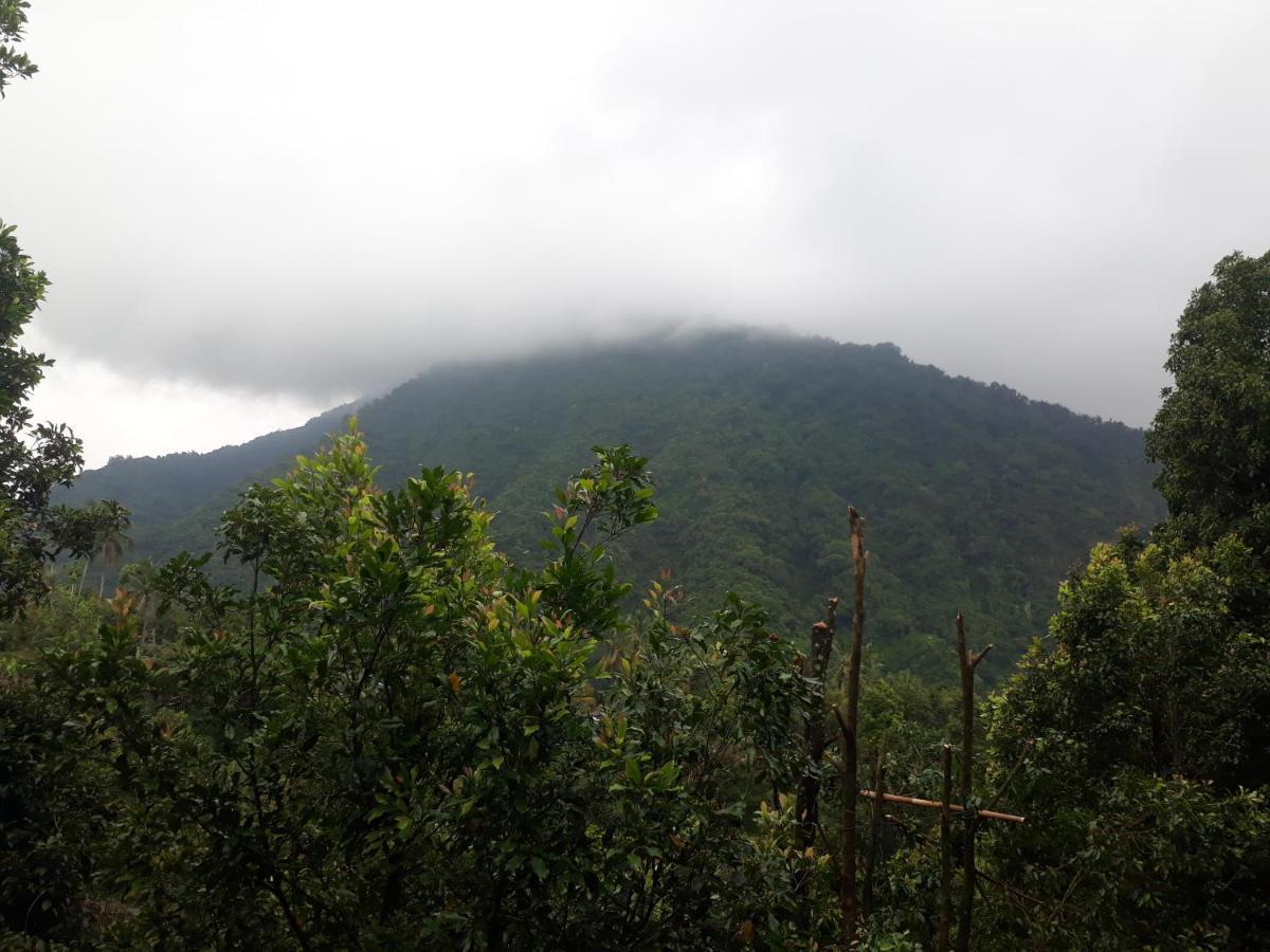 Sugi Gede Homestay Singaraja Esterno foto