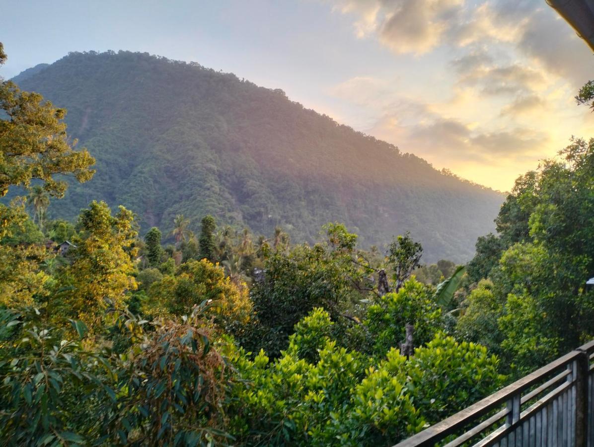 Sugi Gede Homestay Singaraja Esterno foto