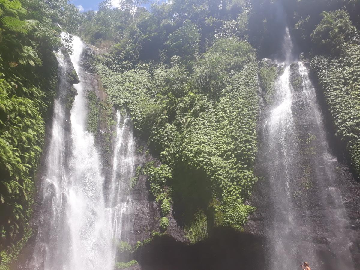 Sugi Gede Homestay Singaraja Esterno foto