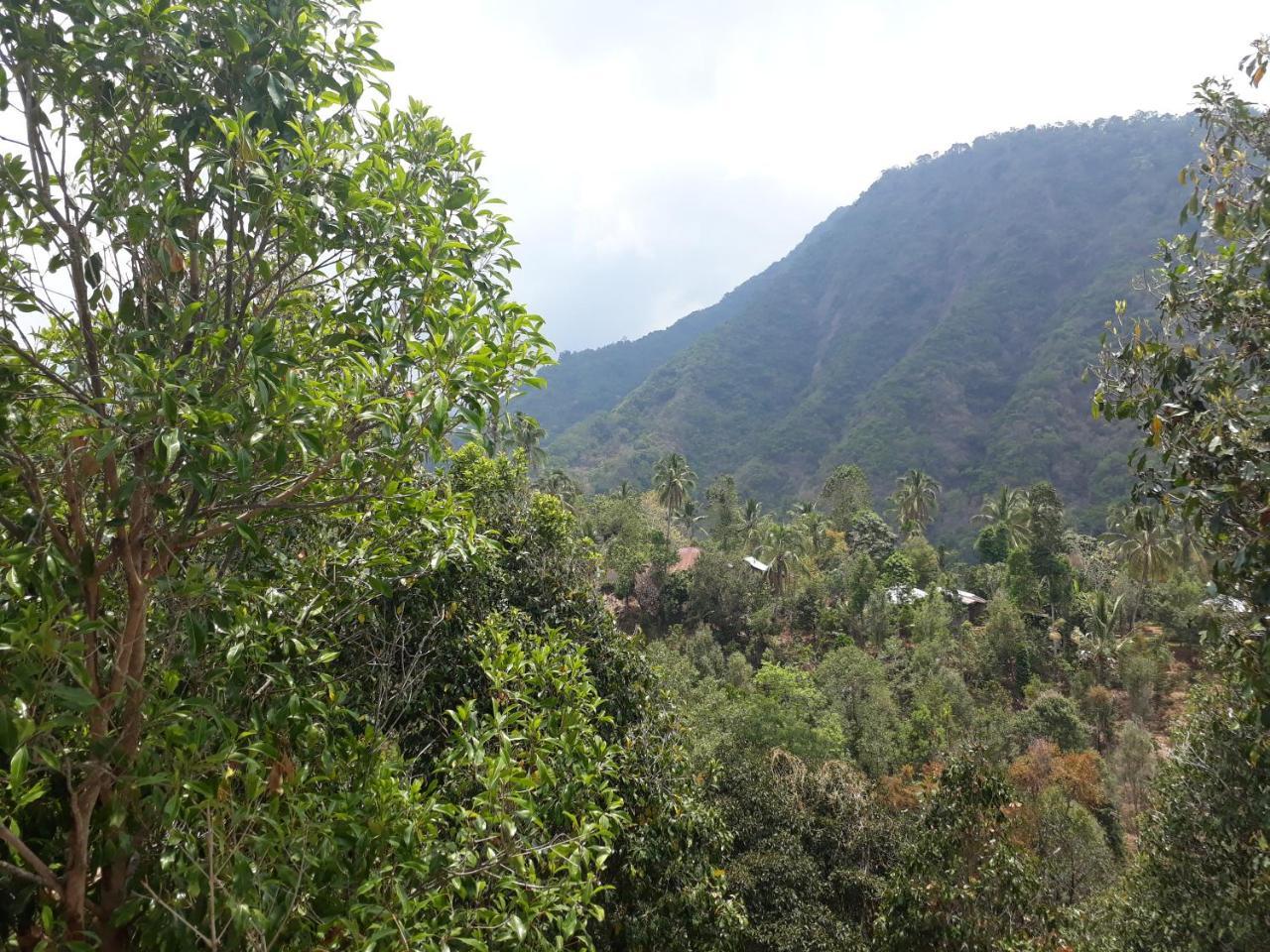 Sugi Gede Homestay Singaraja Esterno foto