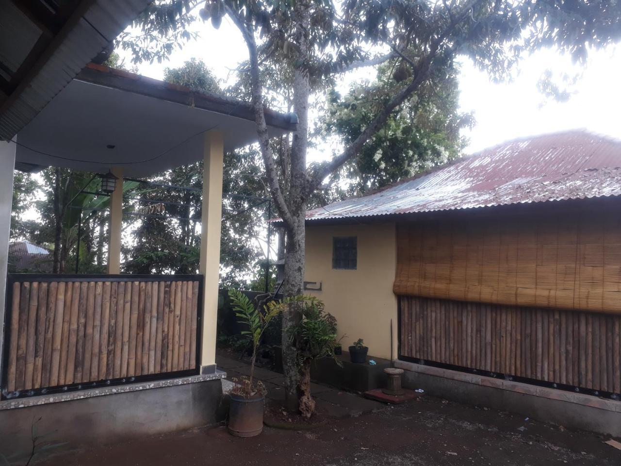 Sugi Gede Homestay Singaraja Esterno foto