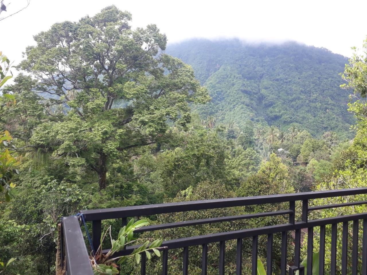 Sugi Gede Homestay Singaraja Esterno foto