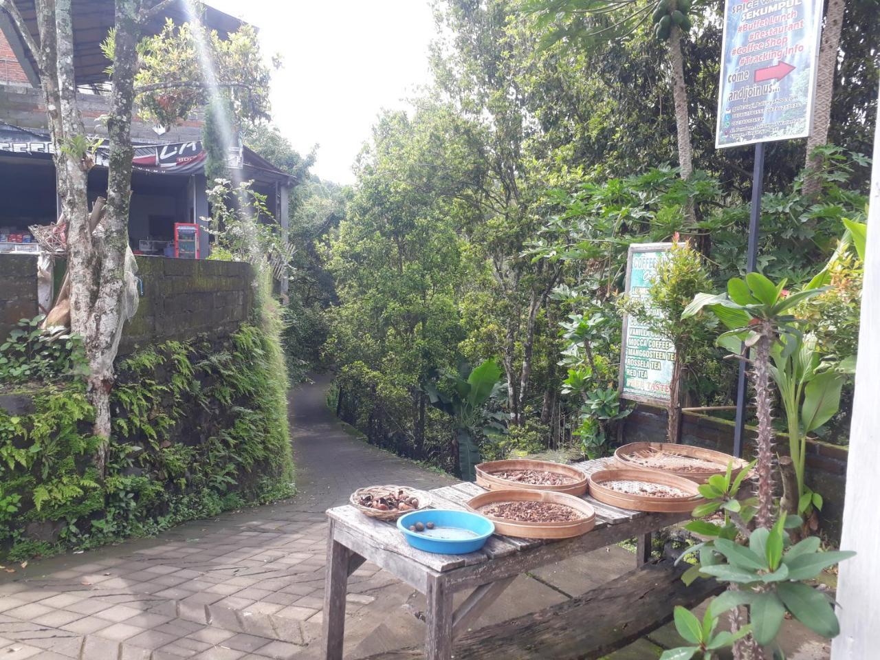 Sugi Gede Homestay Singaraja Esterno foto