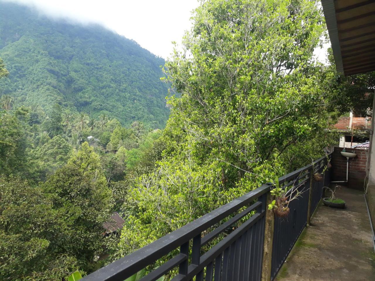 Sugi Gede Homestay Singaraja Esterno foto