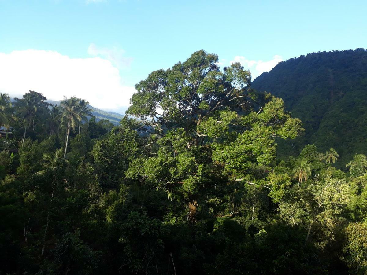 Sugi Gede Homestay Singaraja Esterno foto