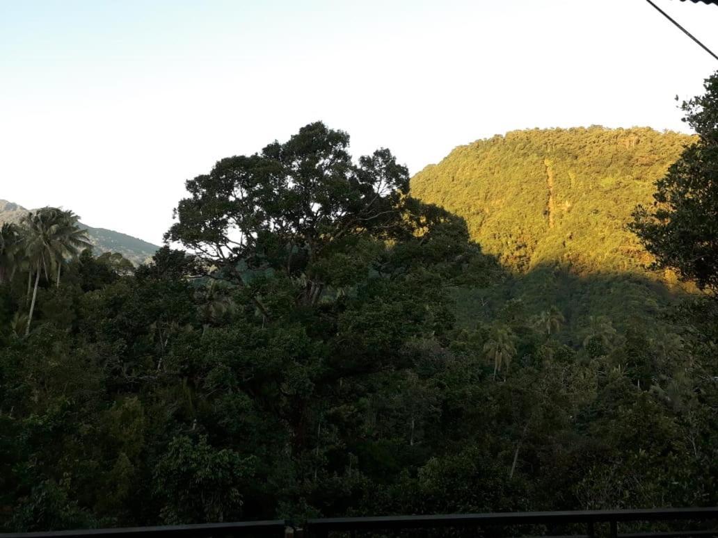 Sugi Gede Homestay Singaraja Esterno foto