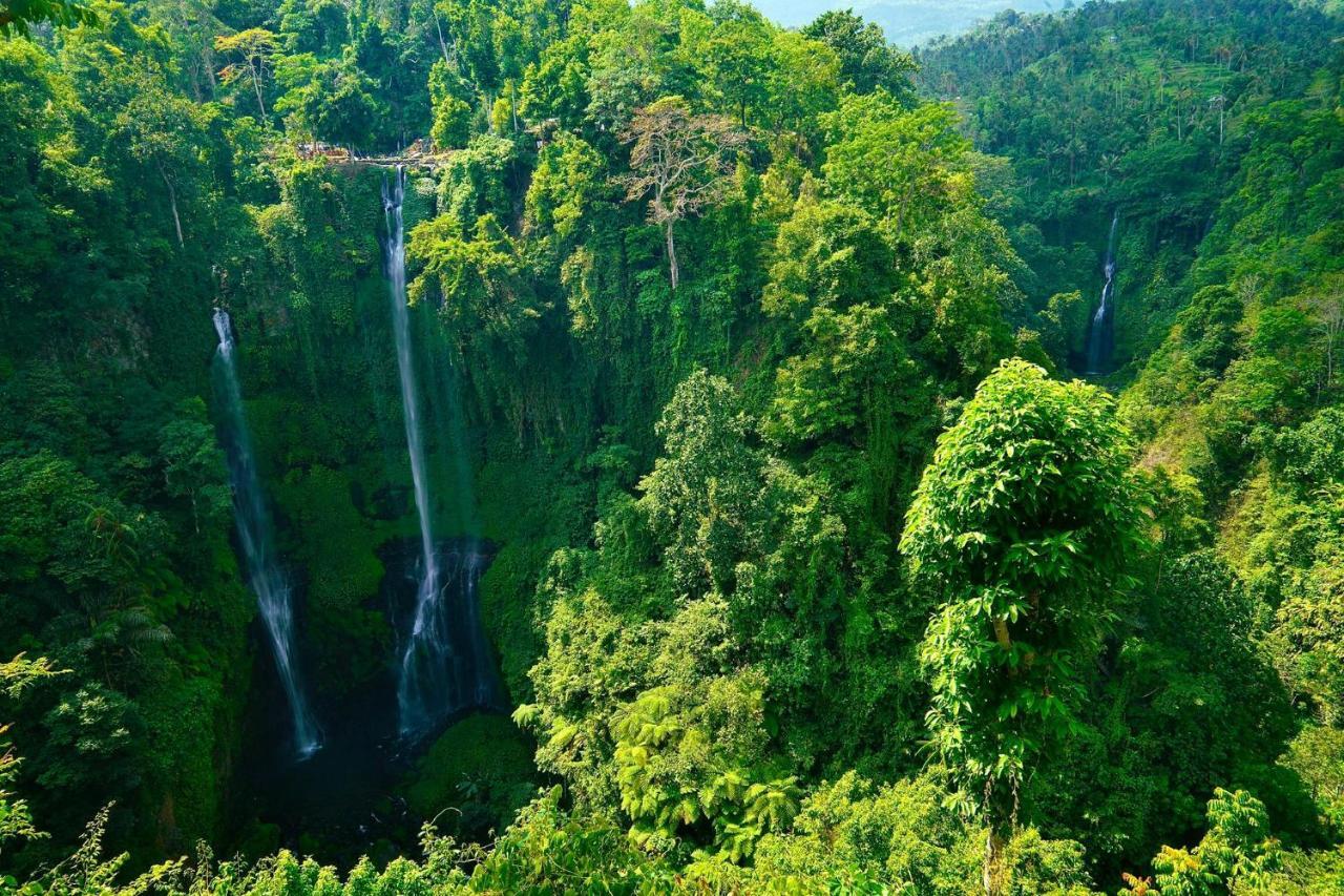 Sugi Gede Homestay Singaraja Esterno foto